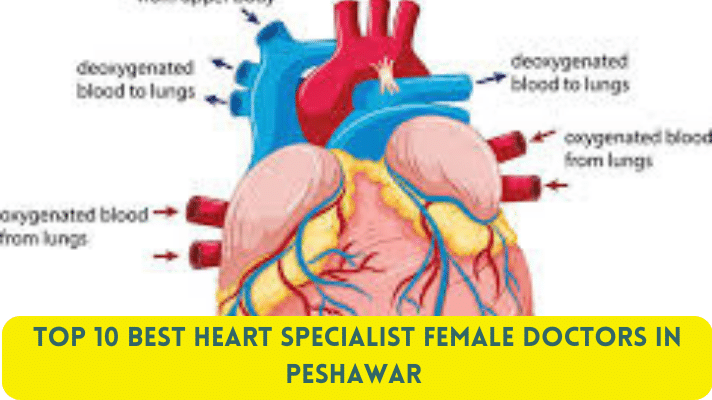 Top 10 Best Heart Specialist Female Doctors in Peshawar