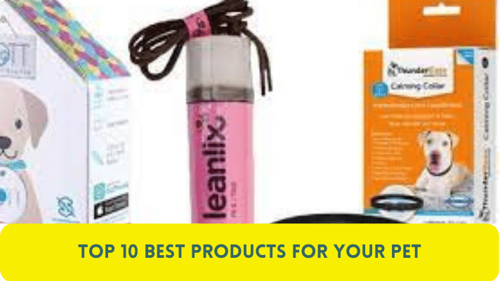 Top 10 Best Products for Your Pet