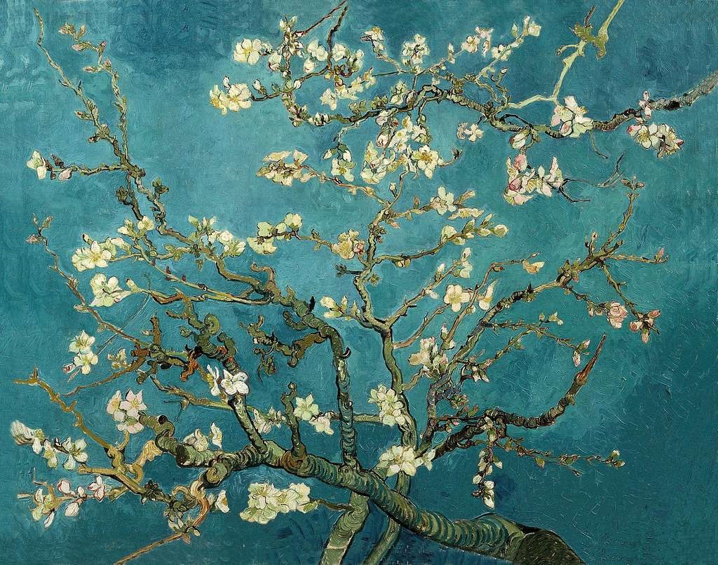 Almond Blossoms van gogh paintings