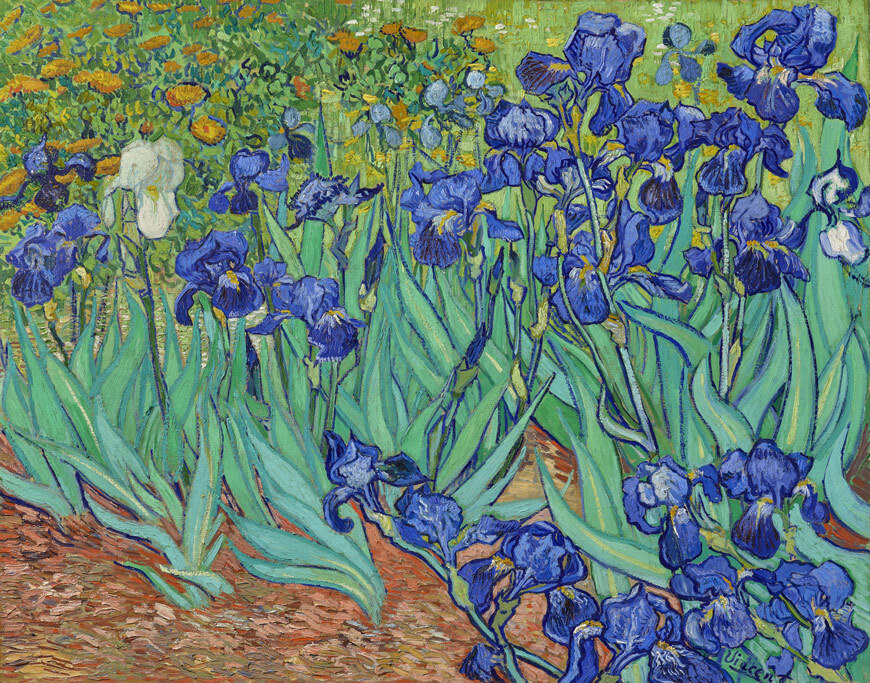 Irises-Best Painting Of Vincent Van Gogh