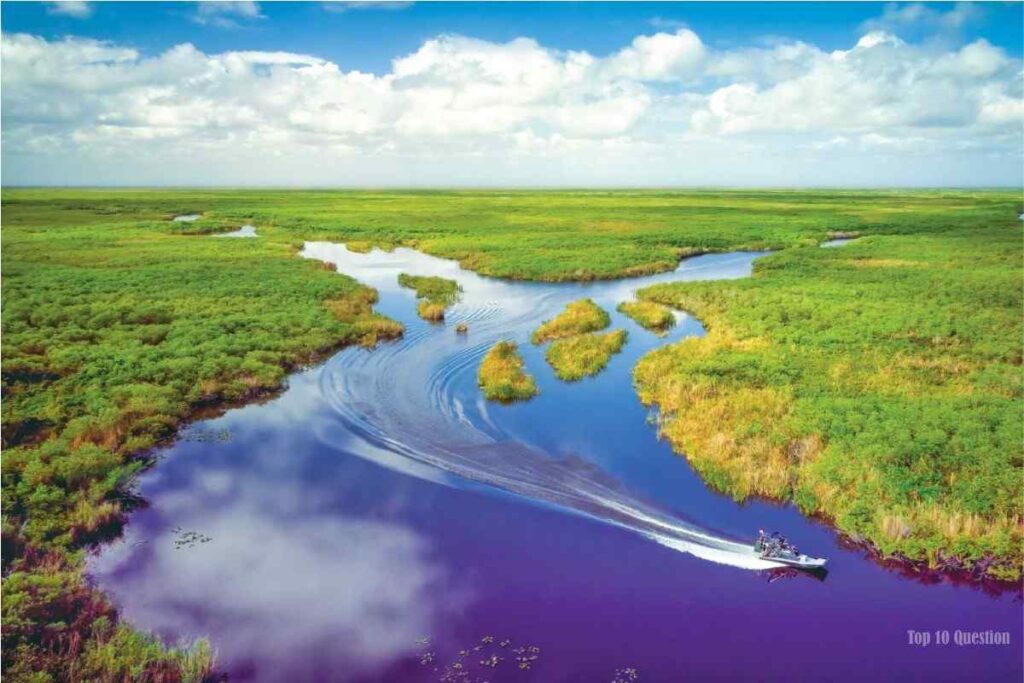 Everglades National Park (Florida)
