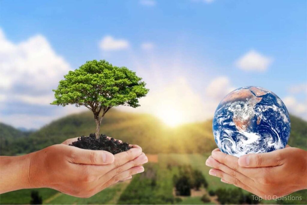 Environmental Conservation and Sustainability