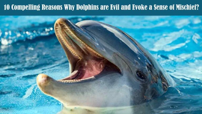 10 Compelling Reasons Why Dolphins are Evil