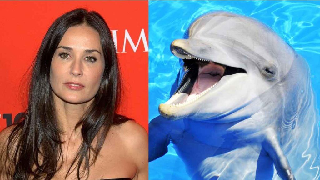 Demi Moore's Encounter with Dolphin