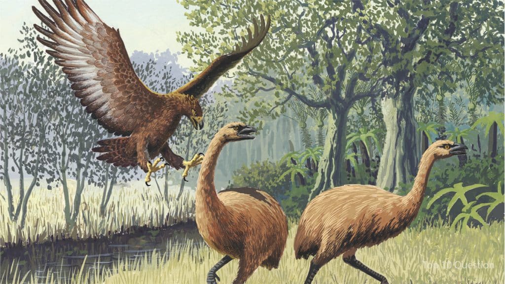List of Prehistoric Birds