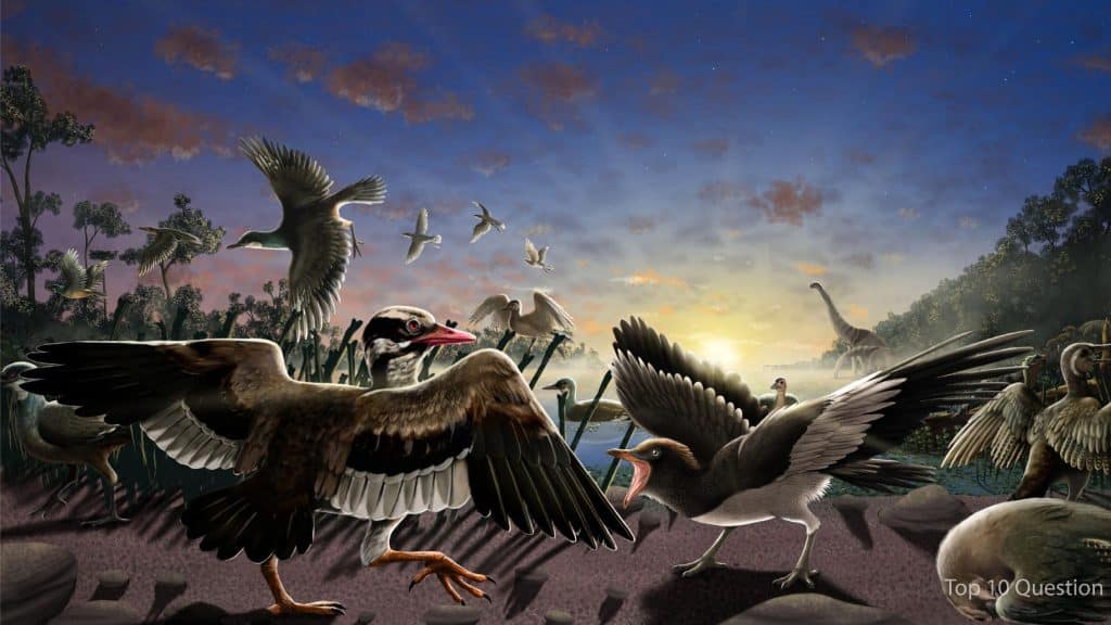 Prehistoric Birds that Fly