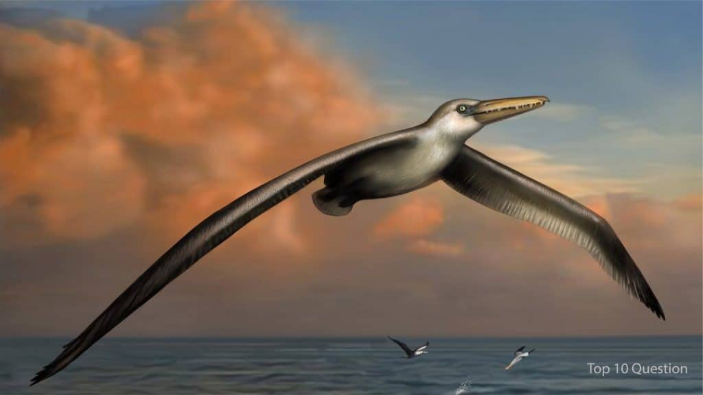 Which Prehistoric Bird is totally Extinct?