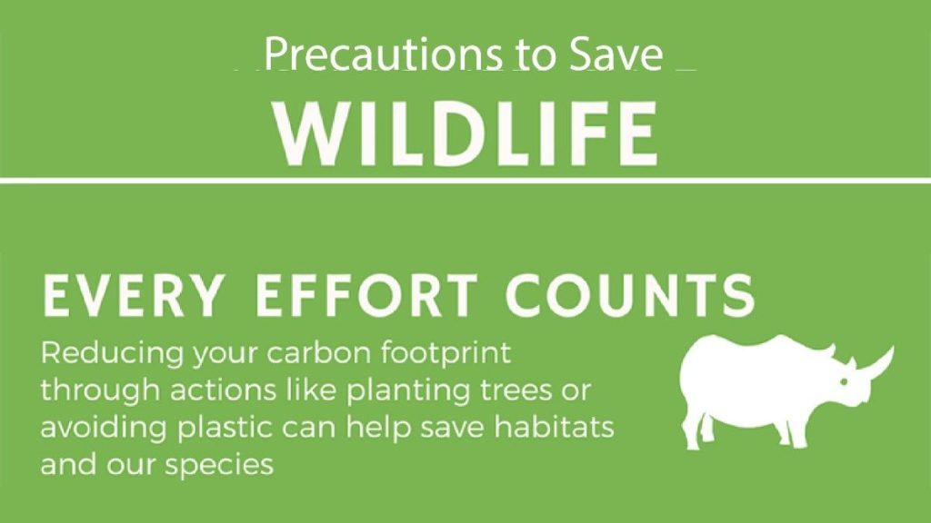Precautions to Save Wildlife