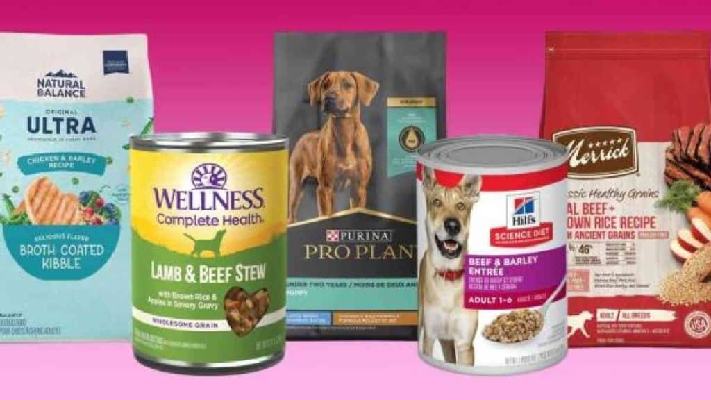 Top 10 High Protein Dog Food