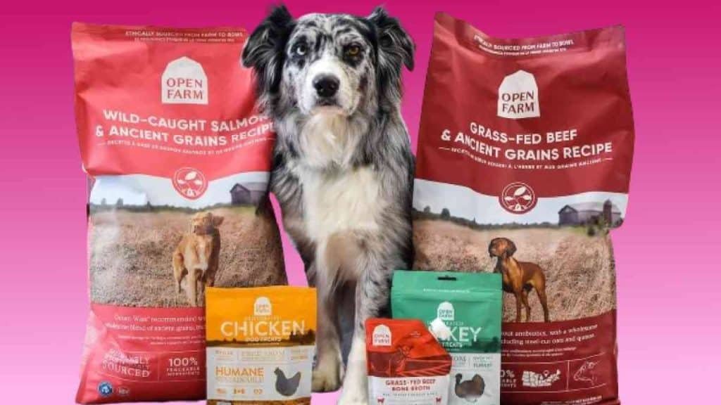 Top 10 Open Farm Dog Food